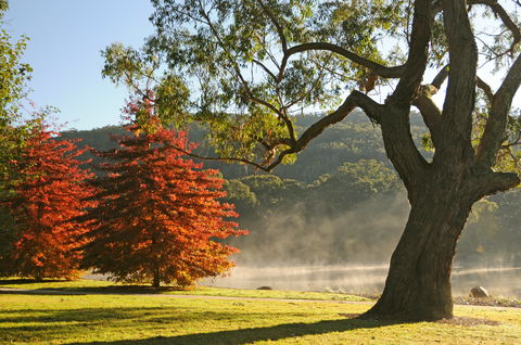 Lake Alexandra Reserve - QLD Tourism 2