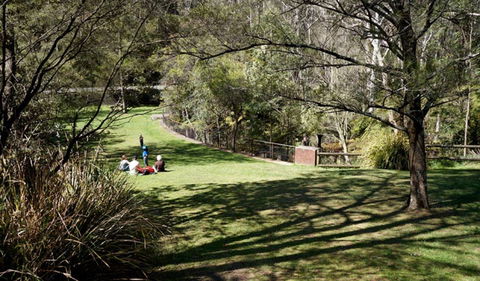 Leura Cascades - QLD Tourism 0