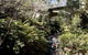 Leura Cascades - thumb 2