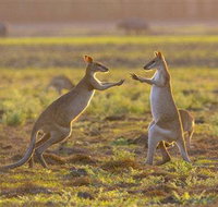 Mary River Area - QLD Tourism