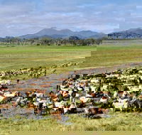 Marlborough - QLD Tourism