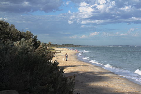 McCrae Beach - QLD Tourism 1