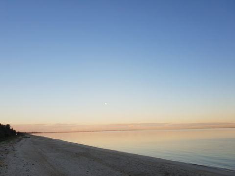 McCrae Beach - QLD Tourism 2