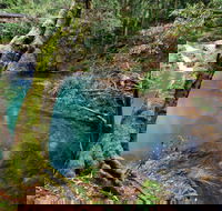 Mobong walking track - QLD Tourism