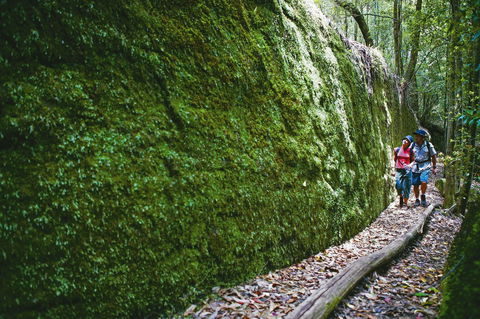 Morisset - Queensland Tourism 0