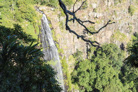 Morans Falls Track, Lamington National Park - QLD Tourism 0