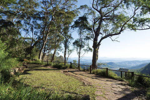 Morans Falls Track, Lamington National Park - QLD Tourism 1