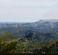 Mount Crawford Forest Reserve - Queensland Tourism