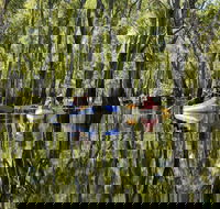 Murray River canoe trails - QLD Tourism