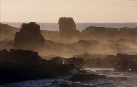 Mystery Bay Short Walk - Queensland Tourism 1