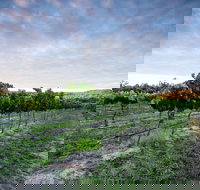 Nature and Foodies Trail - QLD Tourism