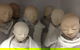 Off Centre Gallery - thumb 0