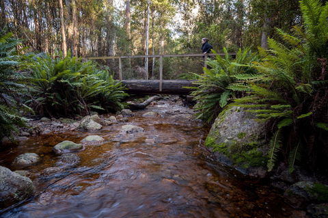 O'Neills Creek Picnic Reserve - QLD Tourism 0