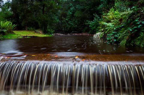 O'Neills Creek Picnic Reserve - QLD Tourism 1
