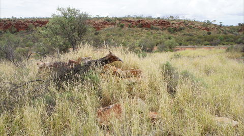 Original Glen Helen Homestead - Queensland Tourism 1