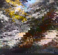 Pheasants Nest - QLD Tourism