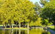 Rymill Park/Murlawirrapurka - thumb 0
