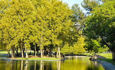 Rymill Park/Murlawirrapurka - Queensland Tourism 0