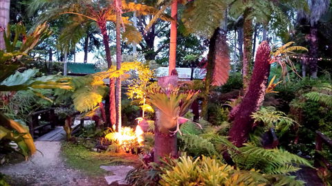 The Fernery At Diamond Waters - QLD Tourism 0