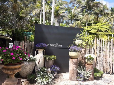 The Fernery At Diamond Waters - QLD Tourism 1
