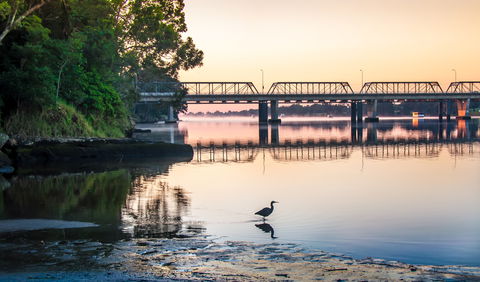The Grotto Walk - North Nowra - QLD Tourism 1