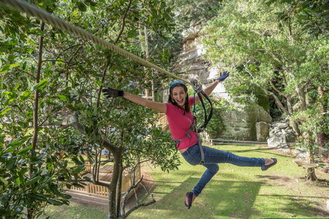 The Grotto Walk - North Nowra - QLD Tourism 2