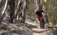 Thredbo Valley Track - thumb 2