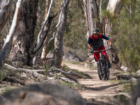 Thredbo Valley Track - Queensland Tourism 2