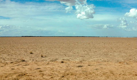 Toorale National Park - QLD Tourism 0
