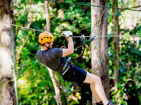 TreeTop Challenge Currumbin Wildlife Sanctuary - QLD Tourism 0