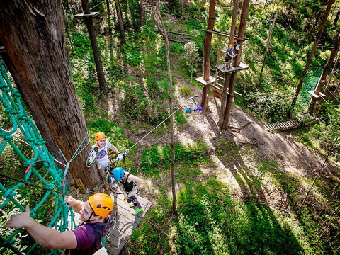 TreeTop Challenge Currumbin Wildlife Sanctuary - QLD Tourism 2