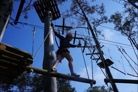 Trees Adventure Nowra Park - QLD Tourism 0