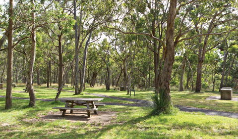 Wollomombi Gorge And Falls Picnic Area - Queensland Tourism 0