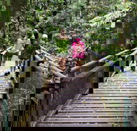 Wonga Walk - Queensland Tourism