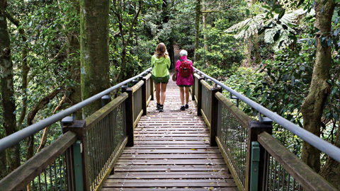 Wonga Walk - QLD Tourism 0