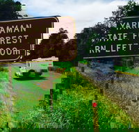 Yarraman - Queensland Tourism