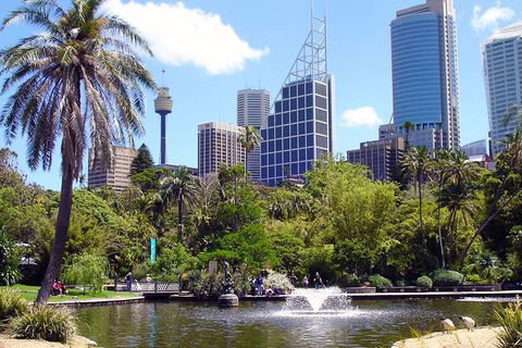 Private Sydney Half Day Tour Including Sydney Opera House And Bondi Beach - Queensland Tourism 7