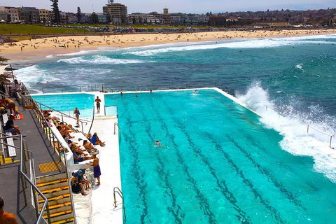 Private Sydney Half Day Tour Including Sydney Opera House And Bondi Beach - Queensland Tourism 10