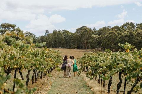 Hunter Valley Premium Food & Drink Pairing Tour - Queensland Tourism 5