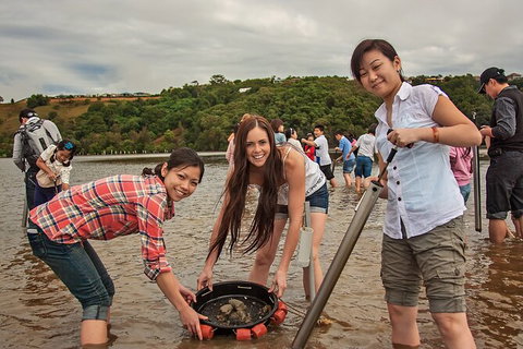 Catch A Crab Tour With Optional Seafood Lunch - Queensland Tourism 6