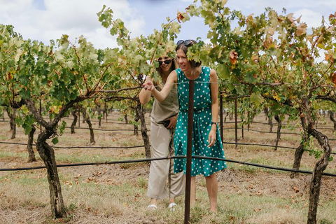 Lovedale & North Pokolbin, Hunter Valley Hop-On And Hop-off Bus Tour - Queensland Tourism 4