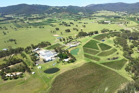Helicopter Tour Of Hunter Valley In New South Wales With Lunch - Queensland Tourism 0