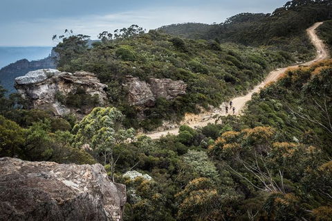 Blue Labyrinth Tour: Sydney Blue Mountains By E-Bike - Queensland Tourism 5