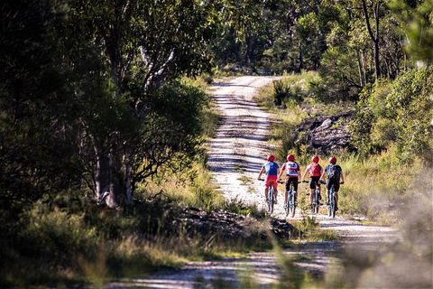 Blue Labyrinth Tour: Sydney Blue Mountains By E-Bike - Queensland Tourism 6