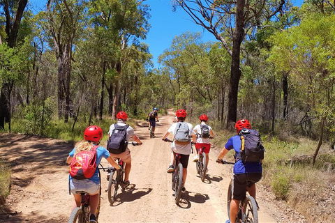 Blue Labyrinth Tour: Sydney Blue Mountains By E-Bike - Queensland Tourism 1