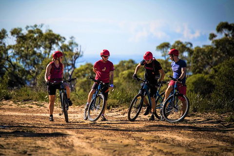 Blue Labyrinth Tour: Sydney Blue Mountains By E-Bike - Queensland Tourism 3