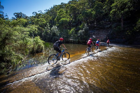 Blue Labyrinth Tour: Sydney Blue Mountains By E-Bike - Queensland Tourism 7