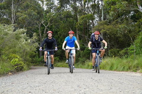 Blue Mountains Hanging Rock SELF-GUIDED Mountain Bike Hire Service - Queensland Tourism 5