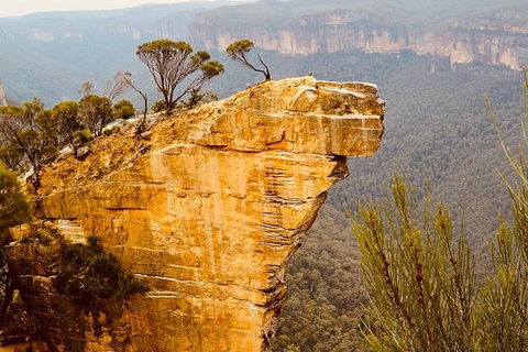Blue Mountains Hanging Rock SELF-GUIDED Mountain Bike Hire Service - Queensland Tourism 7