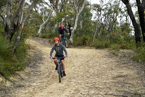 Blue Mountains Hanging Rock SELF-GUIDED Mountain Bike Hire Service - Queensland Tourism 10